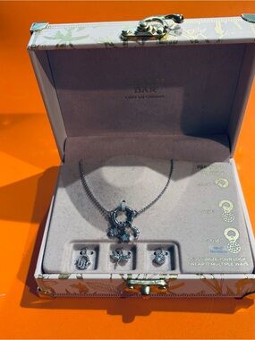 Silver Charm Necklace Set with Interchangeable Charms